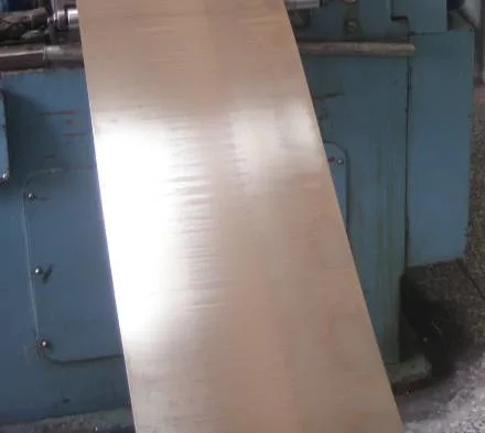 Tie / bande / fil d'alliage nickel en 100 (EMS55089)